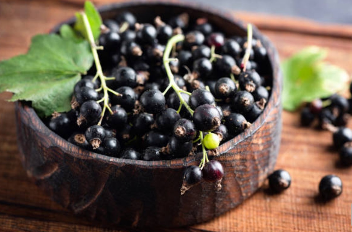 Antioxidanten in Zwarte Bessen: Meer dan Alleen Bescherming